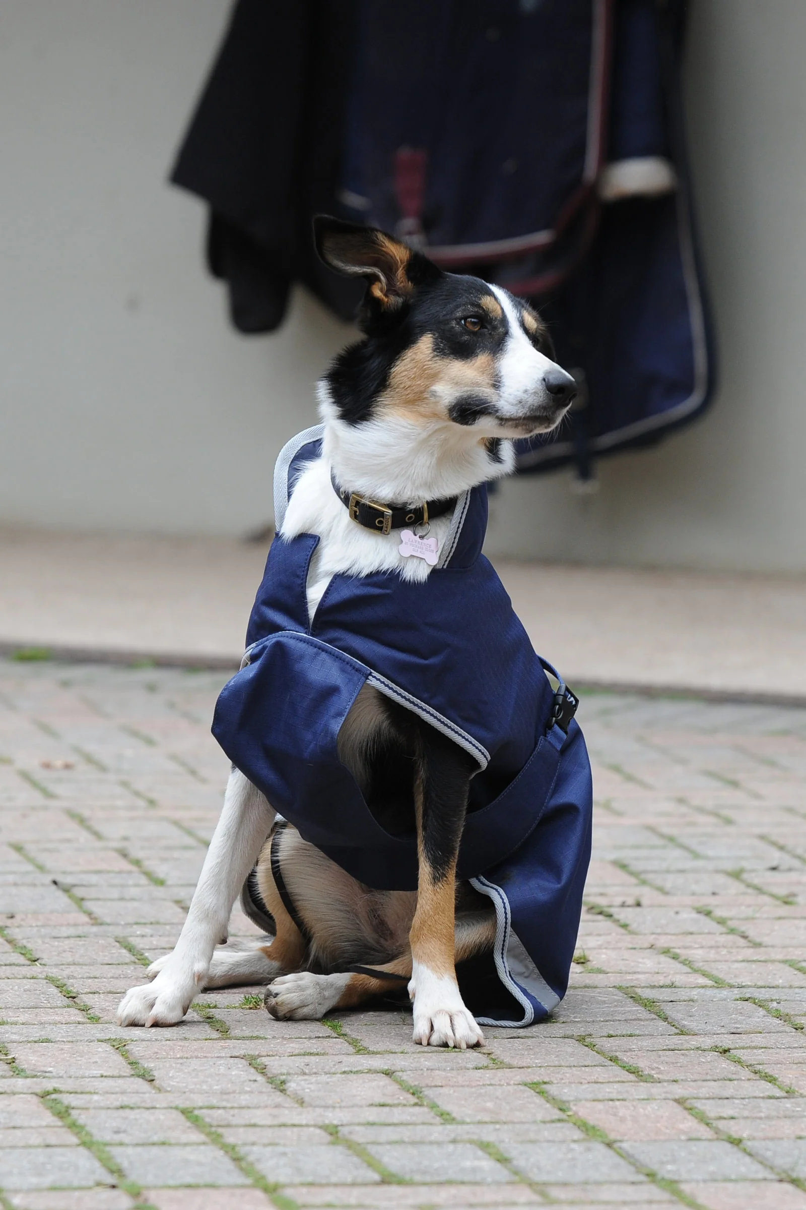 Miniatyr 1
