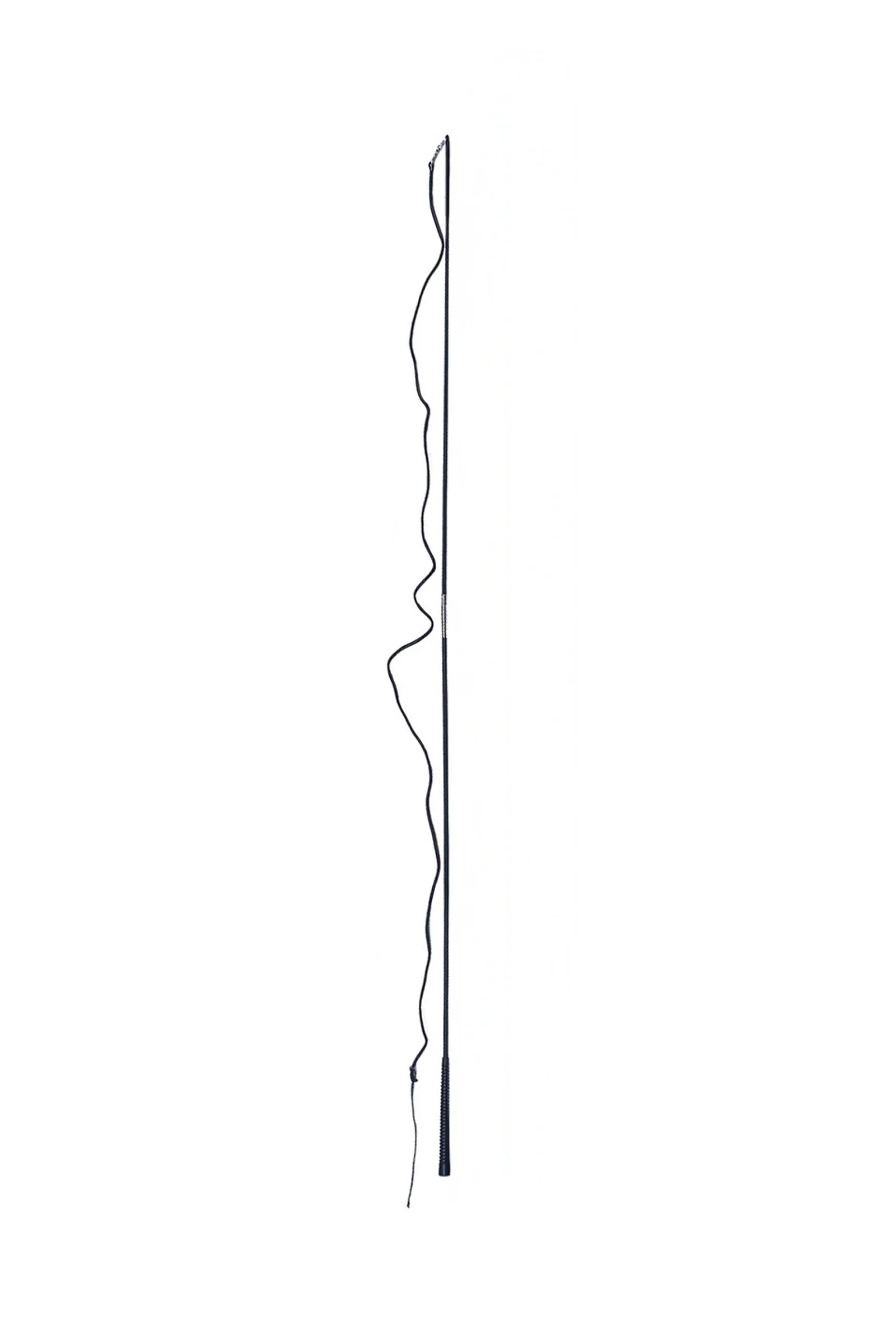 Miniatyr 1