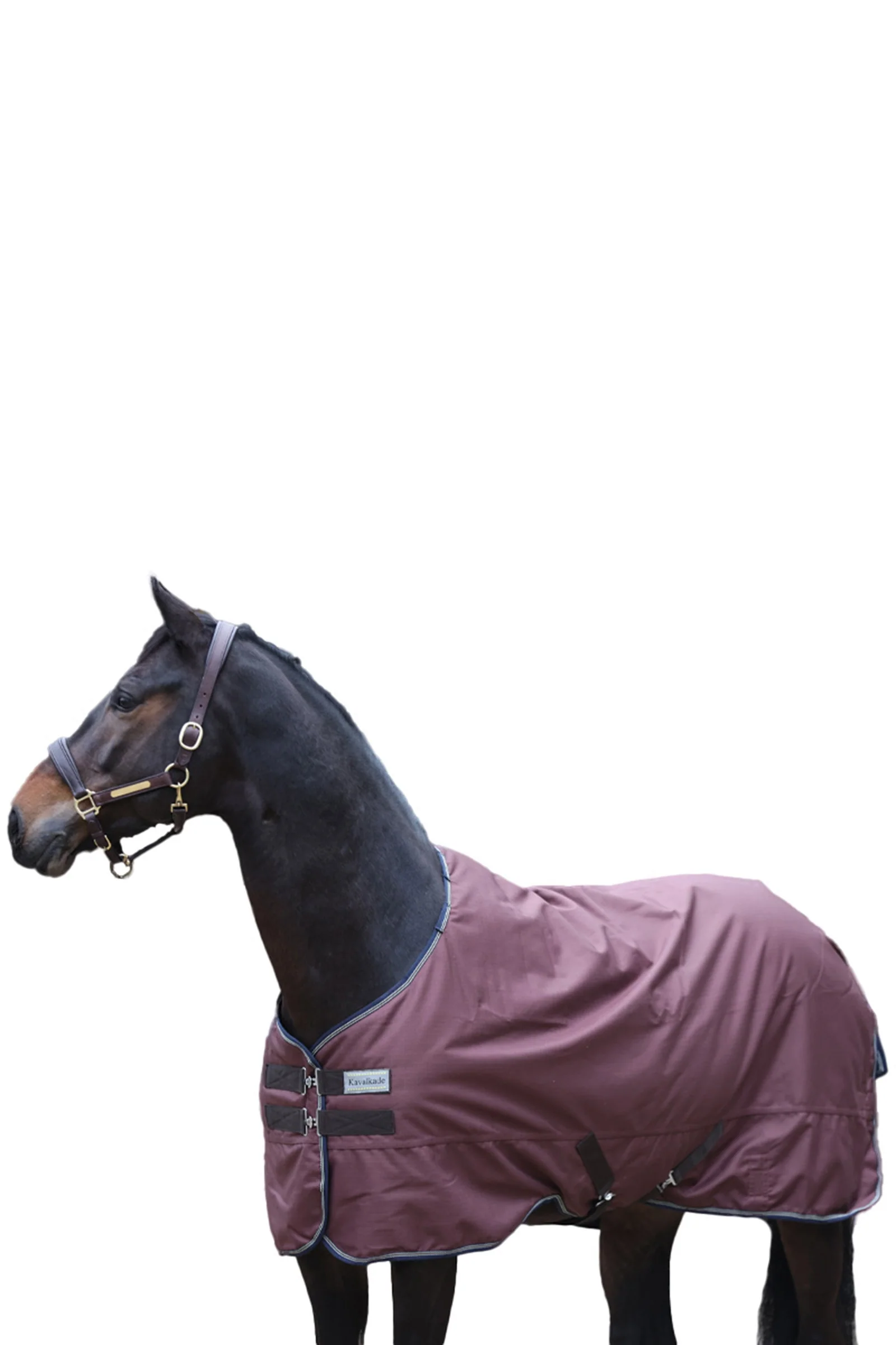 Produktbilde 1