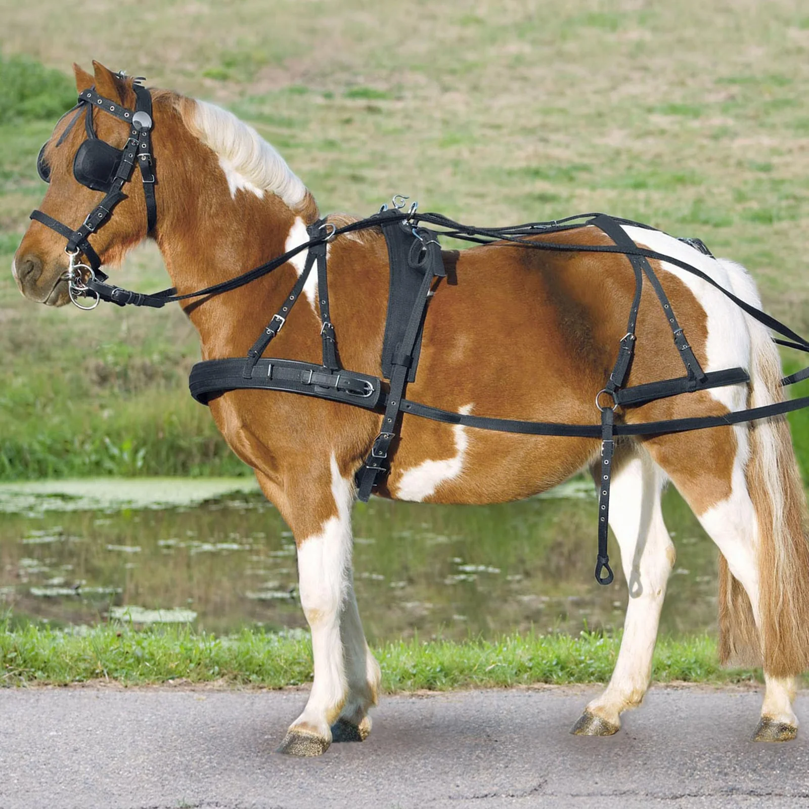 Miniatyr 1