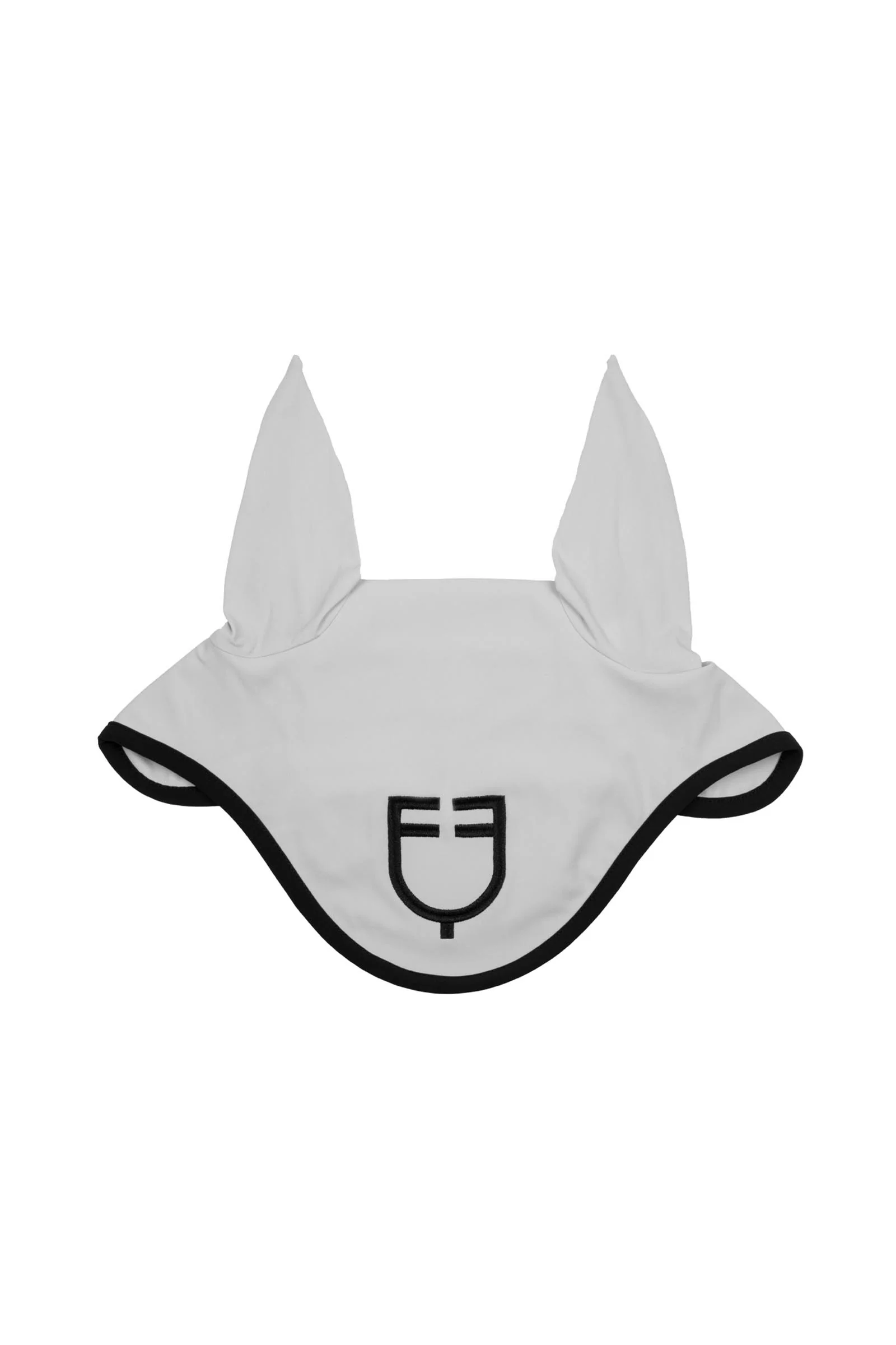 Miniatyr 1
